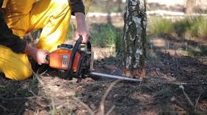 Lawn Irrigation Installation and Maintenance in Port Isabel, TX